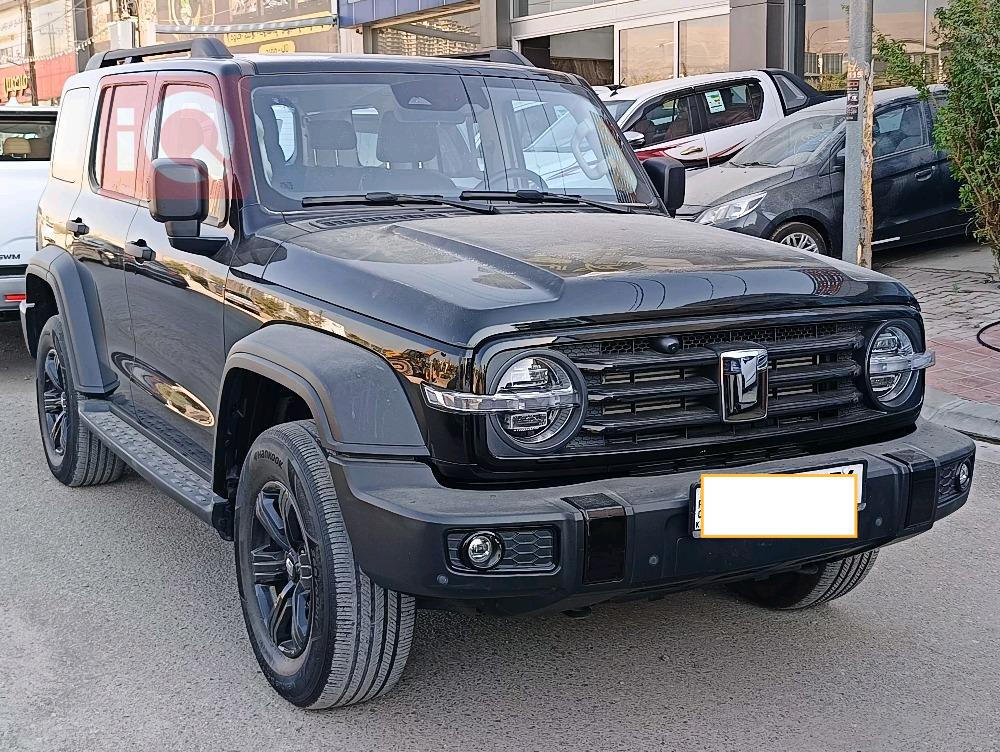 جريت وول 300